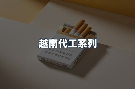 越南代工系列
